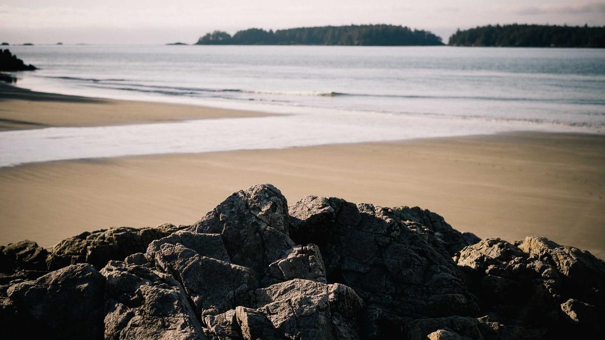 Coastal landscape by Paul Jarvis